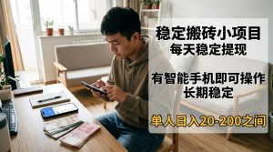 稳定搬砖小项目，每天稳定提现，有智能手机即可操作-天韵资源网