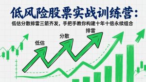 低风险股票实战训练营:低估分散排雷三箭齐发,手把手教你构建十年十倍永续组合-天韵资源网