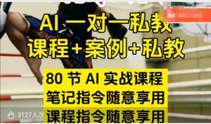 AI指令实战课，课程+案例，80节AI实战课程，笔记指令随意享用，课程指令随意享用(更新26年3月)-天韵资源网
