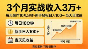 3个月实战收入3万+，每天操作10几分钟，新手轻松日入100+，当天见收益-天韵资源网
