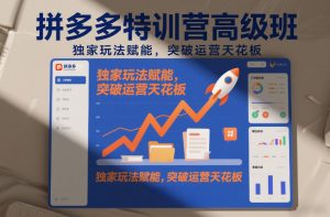 拼多多特训营高阶班，独家玩法赋能，突破运营天花板(更新26年3月13日)-天韵资源网