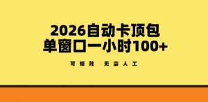 2026自动卡顶包玩法，单窗口一小时100+，可矩阵操作，无需人工【揭秘】-天韵资源网