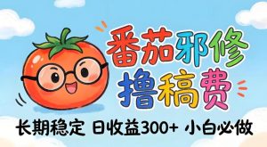 番茄撸金术：日入300+稳如泰山！独家玩法曝光，操作门槛极低，无需经验，小白闭眼上车【揭秘】-天韵资源网