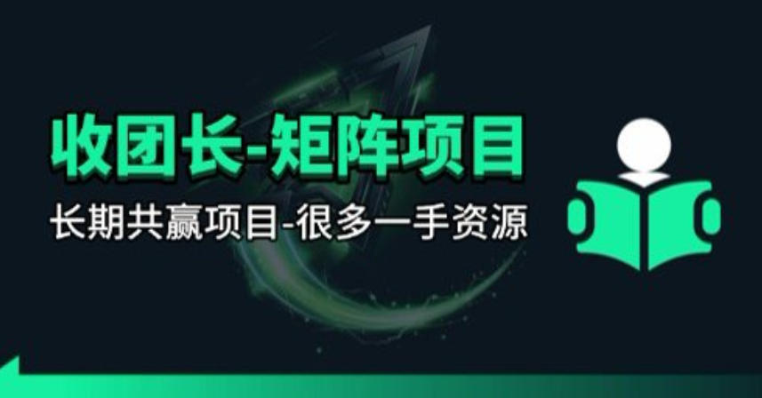 【团长合作】视频矩阵项目_招发手矩阵+剪辑师，共赢项目【揭秘】-天韵资源网