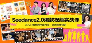 Seedance2.0爆款视频实战课：从入门到精通电商带货，品牌宣传短剧-天韵资源网