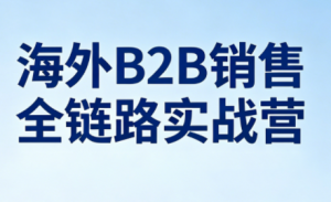 雨哥·海外B2B销售全链路实战营-天韵资源网