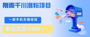 刚需千川涨粉项目,一部手机无需技术,单日变现1k+,当天做当天见收益【揭秘】-天韵资源网