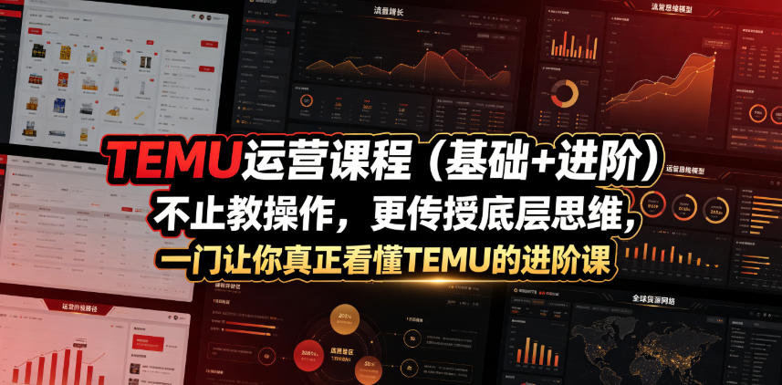 TEMU运营课程(基础+进阶)，不止教操作，更传授底层思维，一门让你真正看懂TEMU的进阶课-天韵资源网