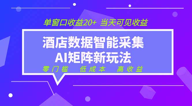 2026酒店数据采集ai智能矩阵新风口  低成本   高收益   当天见收益   单窗口20+-天韵资源网