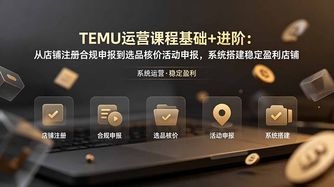 TEMU运营课程(基础+进阶-天韵资源网