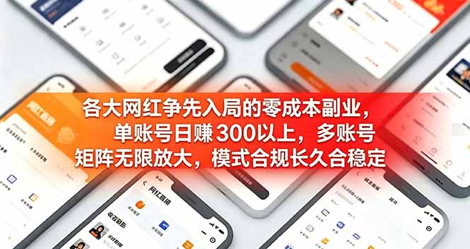 各大网红争先入局的零成本副业，单账号日赚 300 以上，多号矩阵可放大，模式合规长久稳定！-天韵资源网