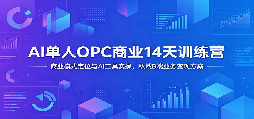 AI单人OPC商业14天训练营：商业模式定位与AI工具实操，私域B端业务变现方案-天韵资源网