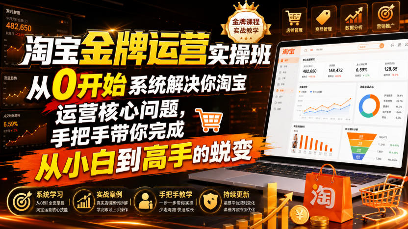 淘宝金牌运营实操班,从0开始系统解决你淘宝运营核心问题,手把手带你完成从小白到高手的蜕变(2026年7月)-天韵资源网