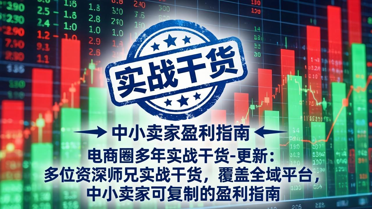电商圈多年实战干货-更新2026:多位资深师兄实战干货/覆盖全域平台,中小卖家可复制的盈利指南-天韵资源网