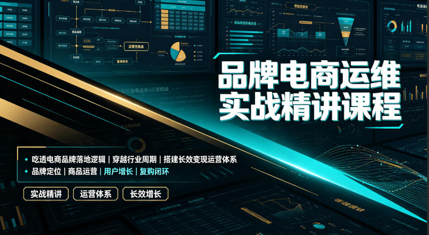 品牌电商运维实战精讲课程｜吃透电商品牌落地逻辑、穿越行业周期、搭建长效变现运营体系-天韵资源网