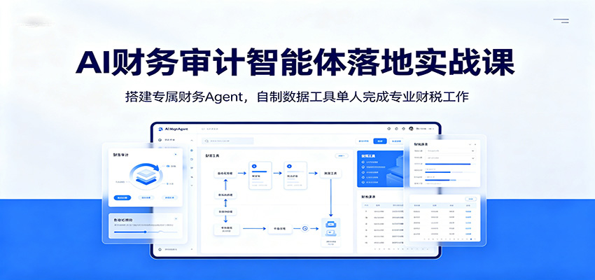 AI财务审计智能体落地实战课：搭建专属财务Agent，自制数据工具单人完成专业财税工作-天韵资源网
