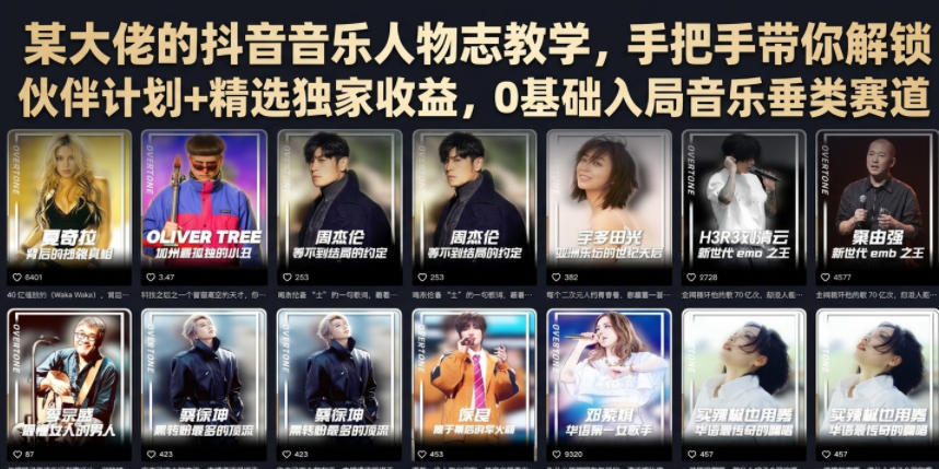 某大佬的抖音音乐人物志教学，手把手带你解锁伙伴计划+精选独家收益，0基础入局音乐垂类赛道-天韵资源网