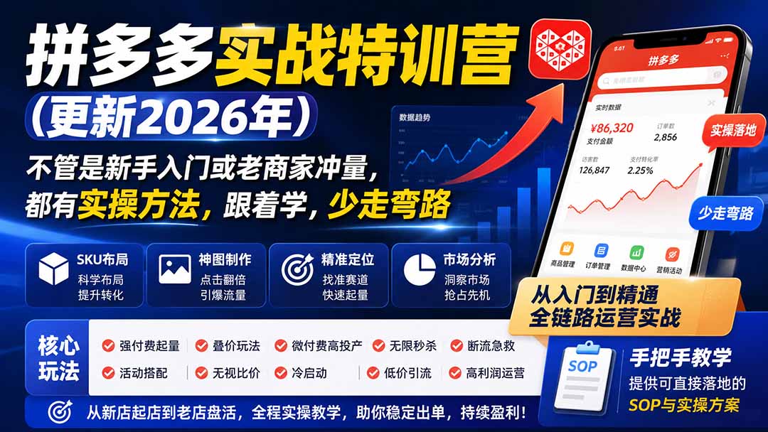 拼多多实战特训营(更新26年0821-天韵资源网