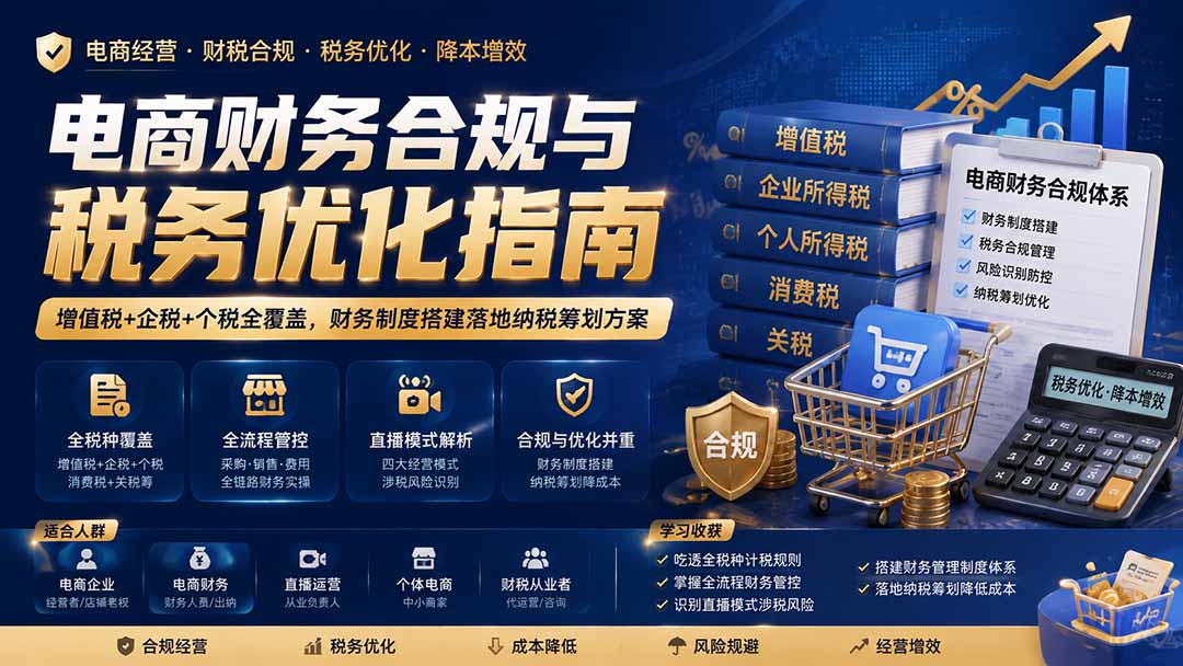 电商财务合规与税务优化指南：增值税+企税+个税全覆盖，财务制度搭建落地纳税筹划方案-天韵资源网