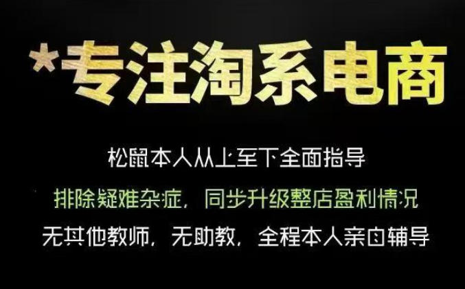 松鼠会电商VIP课程，从基础布局到高阶优化，助你掌握淘宝运营逻辑，提升店铺流量与转化(更新0815)-天韵资源网