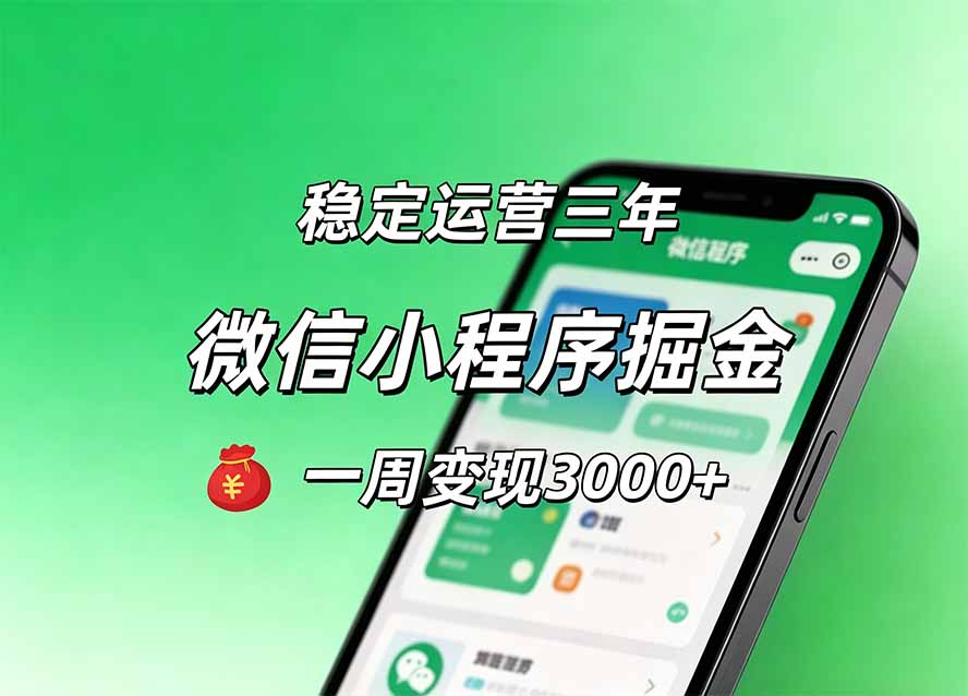 月收益稳定1W+的微信小程序,前期积累客户,后期躺平养老,小白轻松上手-天韵资源网