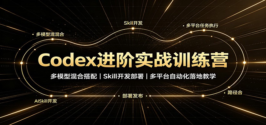 Codex进阶实战训练营：多模型混合搭配，Skill开发部署，多平台自动化落地教学-天韵资源网