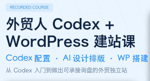 大卫·外贸人Codex + WordPress建站课(更新8月)-天韵资源网