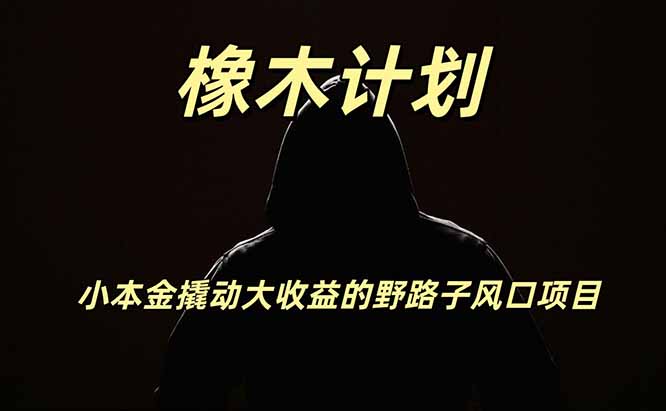 橡木计划，小投入撬动高回报的风口野路子项目，一天投入2小时左右-天韵资源网
