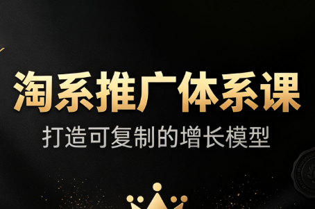 大山·淘系推广体系课-天韵资源网
