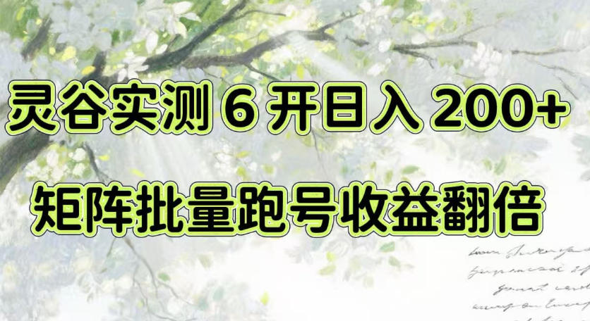 一台电脑就能做！灵谷实测6开日入200+，矩阵批量跑号收益翻倍【揭秘】-天韵资源网
