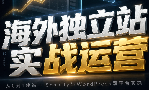 海外独立站实战运营-天韵资源网