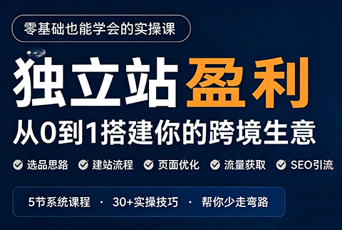 刘老师·5节课跑通独立站盈利全流程-天韵资源网