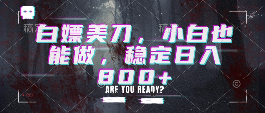 白嫖美刀，小白也能做，稳定日入800+-天韵资源网