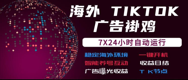 海外TikTok挂G流量变现，7X24自动运行，广告曝光收益，收益日结【揭秘】-天韵资源网