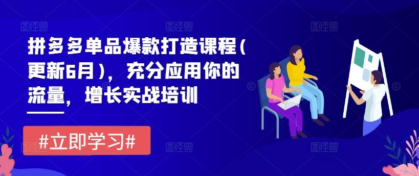 拼多多单品爆款打造课程(更新6月)，充分应用你的流量，增长实战培训-天韵资源网