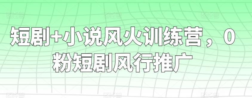 短剧+小说风火训练营，0粉短剧风行推广-天韵资源网
