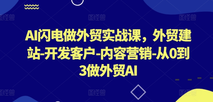 AI闪电做外贸实战课，​外贸建站-开发客户-内容营销-从0到3做外贸AI(更新)-天韵资源网