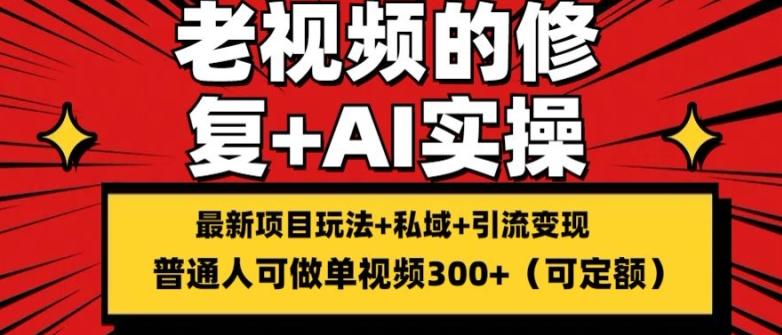 修复老视频的玩法，搬砖+引流的变现(可持久)，单条收益300+【揭秘】-天韵资源网