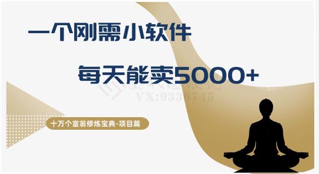 十万个富翁修炼宝典之17.一个刚需小软件，每天能卖5000+-天韵资源网