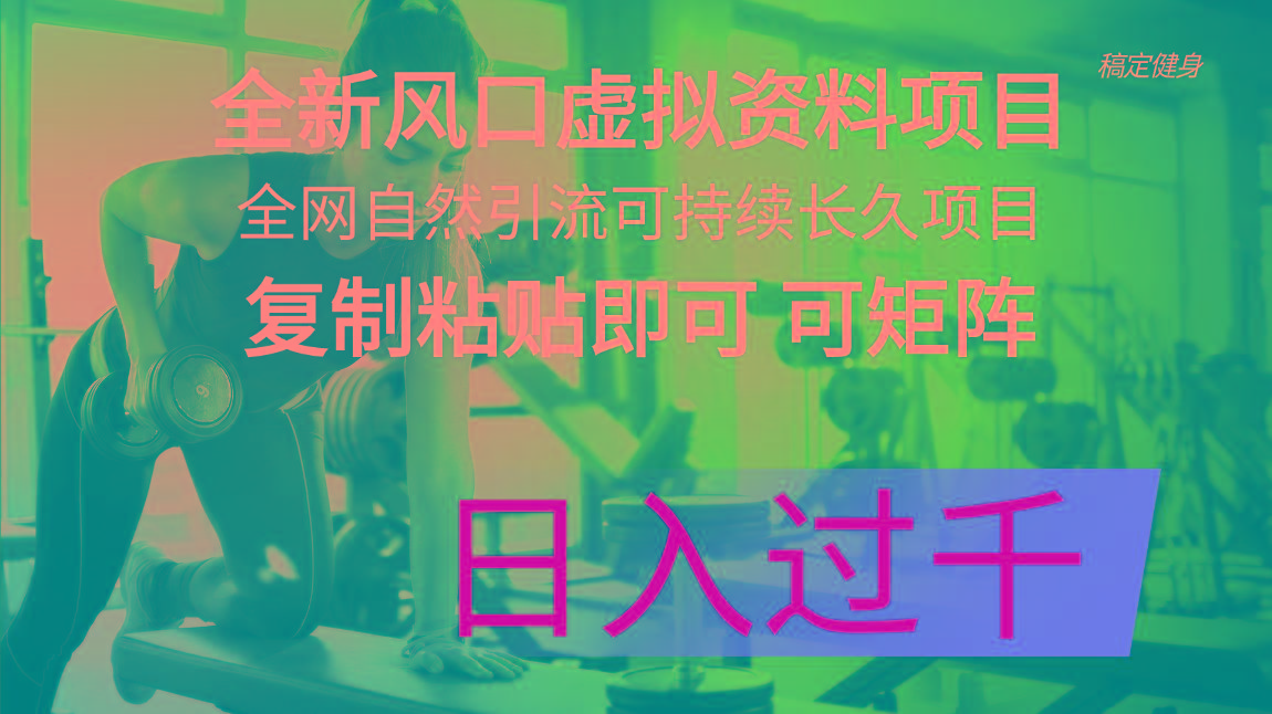 全新风口虚拟资料项目 全网自然引流可持续长久项目 复制粘贴即可可矩阵…-天韵资源网