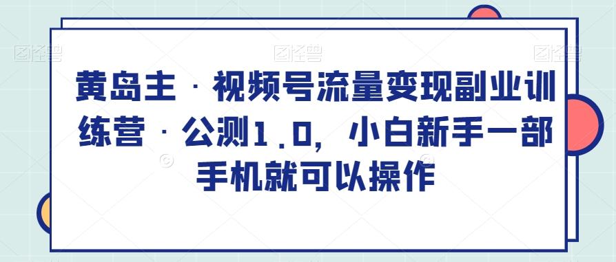 黄岛主·视频号流量变现副业训练营·公测1.0，小白新手一部手机就可以操作-天韵资源网