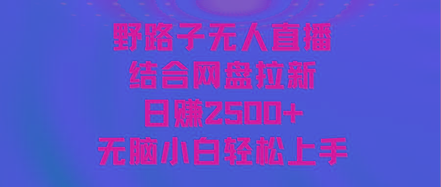 无人直播野路子结合网盘拉新，日赚2500+多平台变现，小白无脑轻松上手操作-天韵资源网
