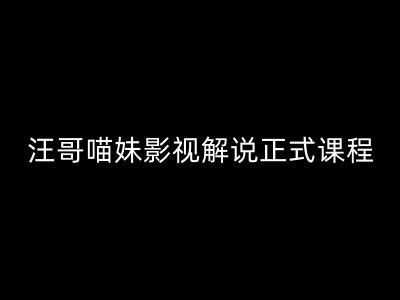 汪哥影视解说正式课程：剪映/PR教学/视解说剪辑5大黄金法则/全流程剪辑7把利器等等-天韵资源网
