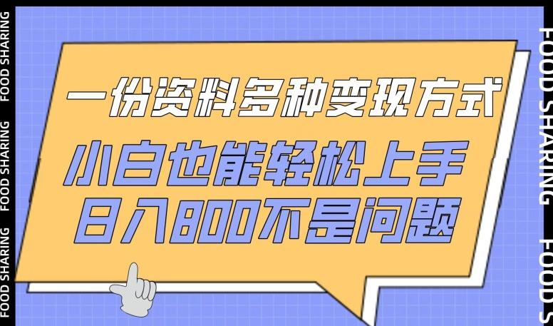 一份资料多种变现方式，小白也能轻松上手，日入800不是问题【揭秘】-天韵资源网