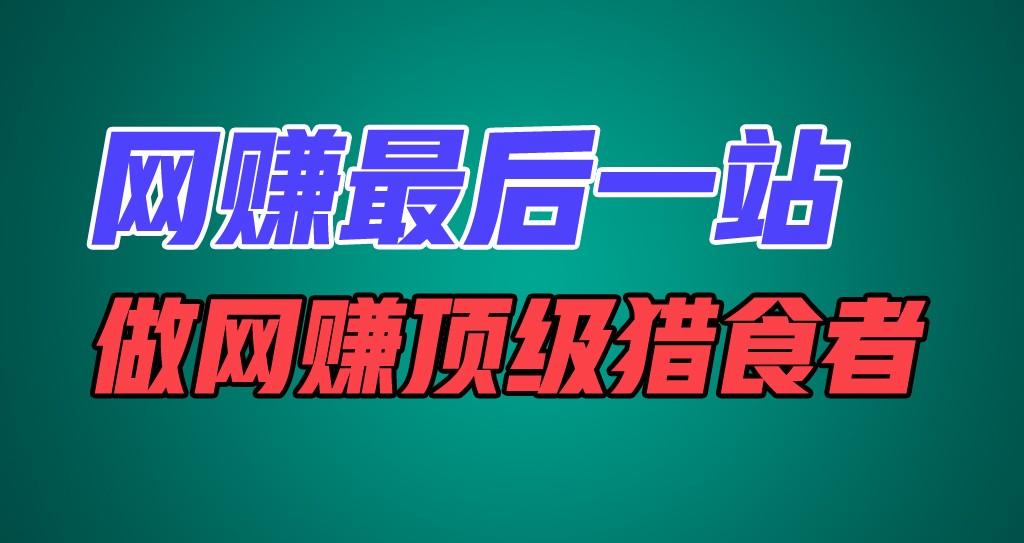 网赚最后一站，卖项目，做网赚顶级猎食者-天韵资源网
