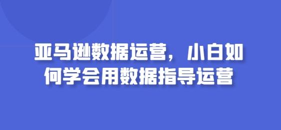 亚马逊数据运营，小白如何学会用数据指导运营-天韵资源网