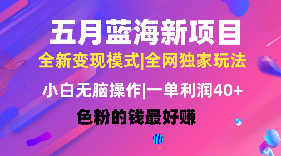 五月蓝海项目全新玩法，小白无脑操作，一天几分钟，矩阵操作，月入4万+-天韵资源网