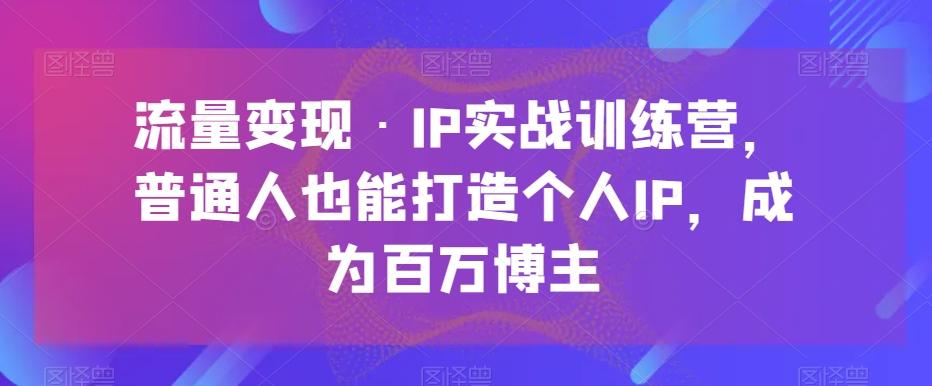 流量变现·IP实战训练营，普通人也能打造个人IP，成为百万博主-天韵资源网