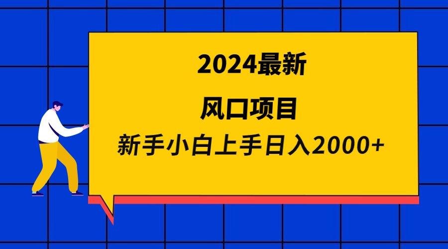 (9483期)2024最新风口项目 新手小白日入2000+-天韵资源网