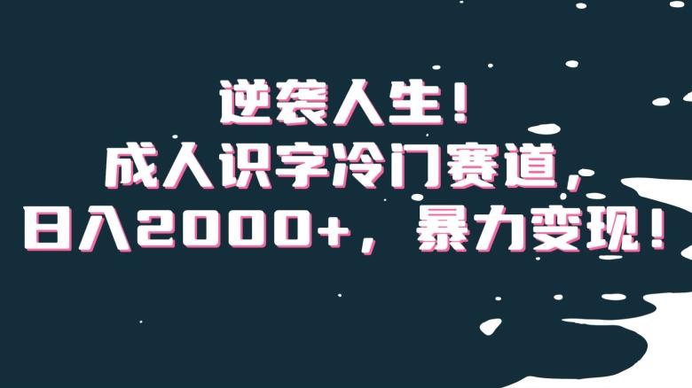 逆袭人生！成人识字冷门赛道，日入2000+，暴力变现！【揭秘】-天韵资源网
